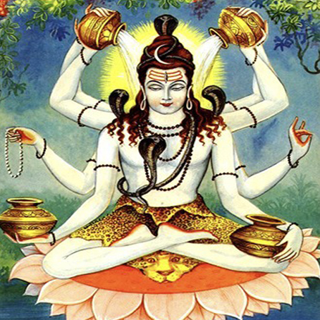 Mrutyunjaya Vedic Spiritual Center Yagyas