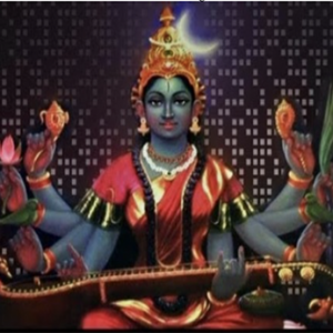 Matangi Mahavidya Yagya Vedic Spiritual Center